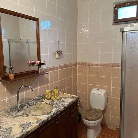 Apartment Dag Evi/yesilli Icinde Kir Evi