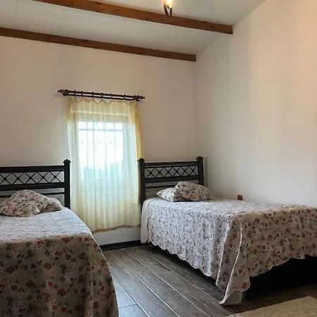 Dag Evi/yesilli Icinde Kir Evi Trabzon