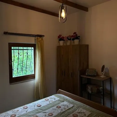 Dag Evi/yesilli Icinde Kir Evi