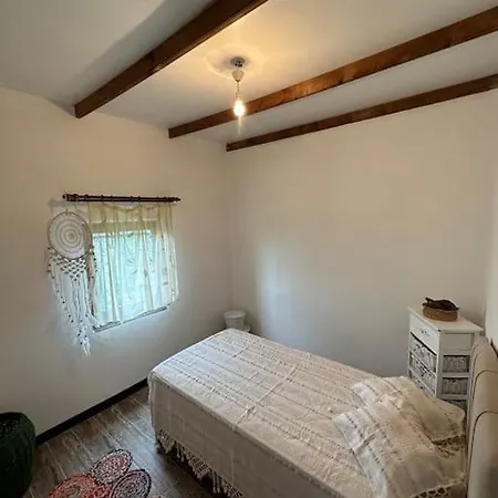 Dag Evi/yesilli Icinde Kir Evi Trabzon