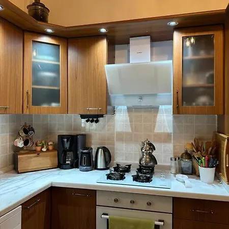 Dag Evi/yesilli Icinde Kir Evi Trabzon